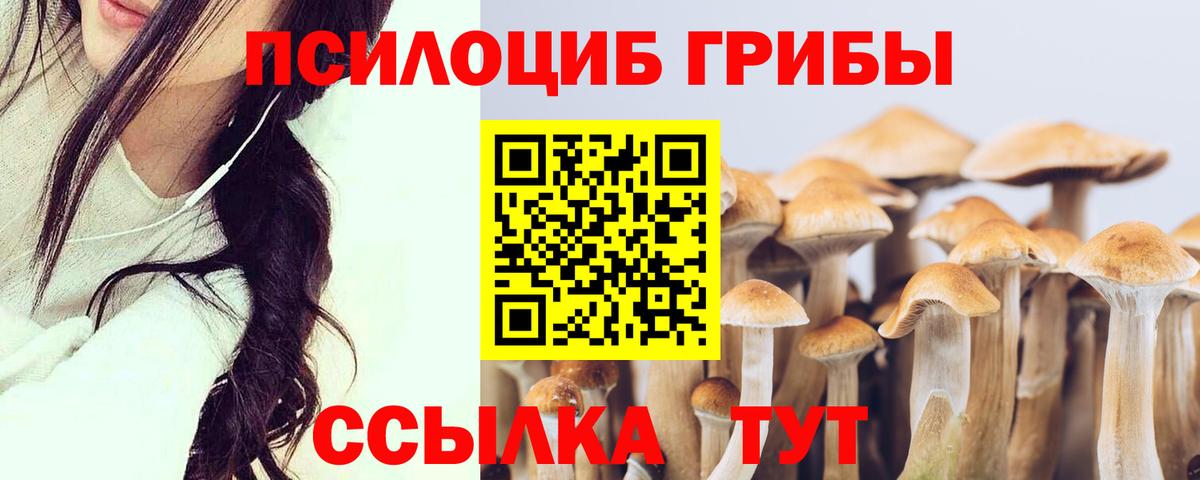 Новый Уренгой  Галлюциногенные грибы GOLDEN TEACHER  наркота  Вход с VPN 