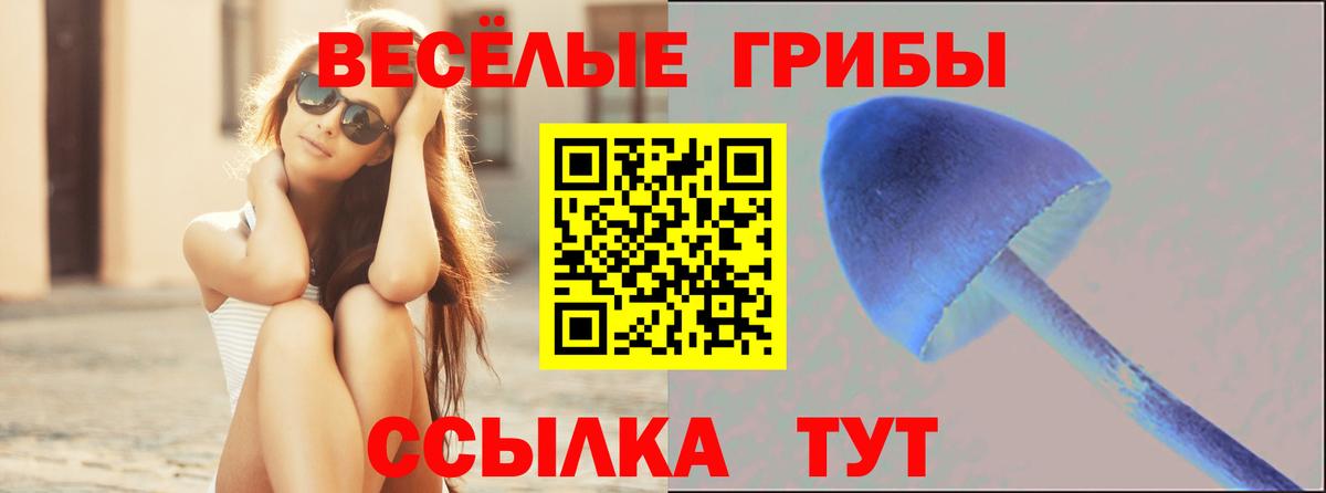 Галлюциногенные грибы мицелий Новый Уренгой